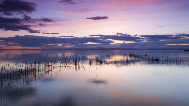 Water plants boats sky clouds free wallpaper for desktop - medium preview image