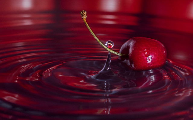 Cherry floating red liquid stem free wallpaper for desktop - medium preview image