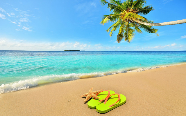 Flipflops beach starfish palm summer free wallpaper for desktop - medium preview image