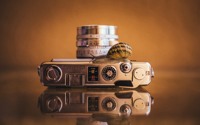 Snail camera coins macro vehicle free wallpaper for desktop - medium preview image