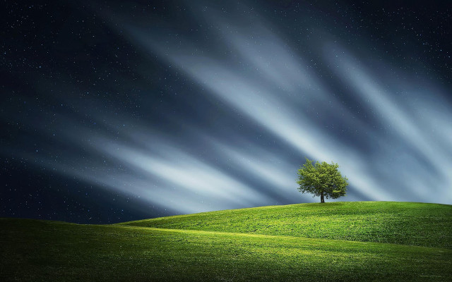 Lone tree grassy hill night free wallpaper for desktop - medium preview image
