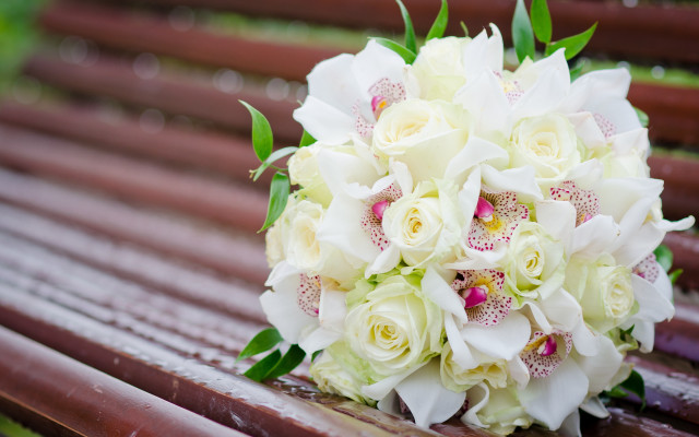 Bride bouquet rain water drops free wallpaper for desktop - medium preview image