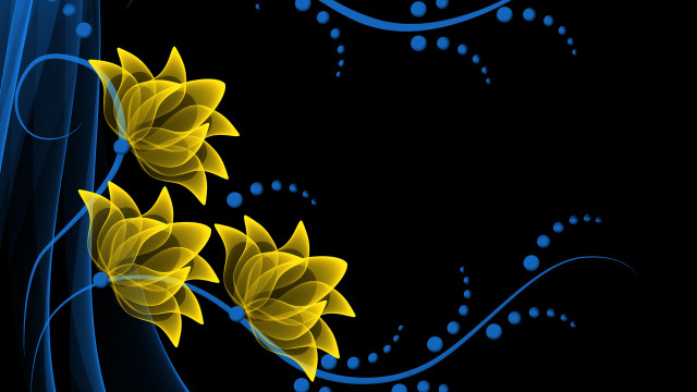 Black background yellow flowers blue free wallpaper for desktop - medium preview image
