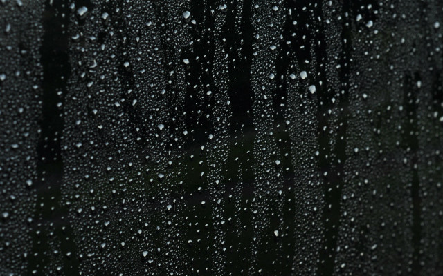 Rain drops window trees night free wallpaper for desktop - medium preview image