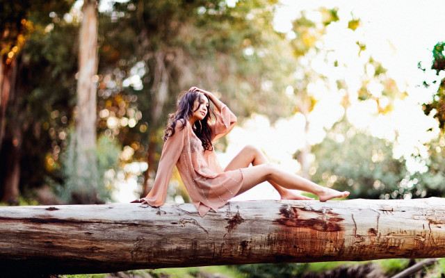 Woman forest sitting nature christmas free wallpaper for desktop - medium preview image