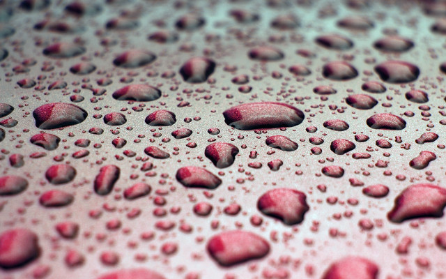 Red water drops macro photography free wallpaper for desktop - medium preview image