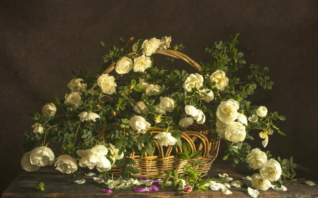 Basket flowers table dark roses free wallpaper for desktop - medium preview image