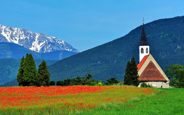Church flowers mountain blue sky free wallpaper for desktop - medium preview image