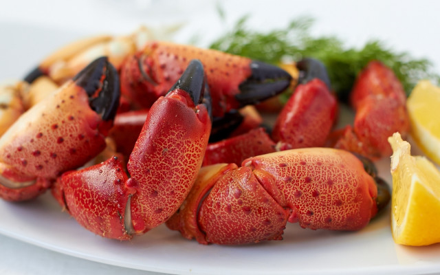 Lobsters lemon wedges plate food free wallpaper for desktop - medium preview image
