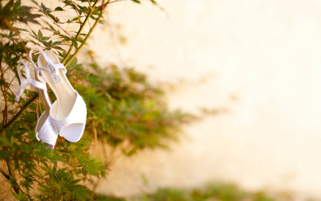 White shoes hanging tree leaves free wallpaper for desktop - medium preview image