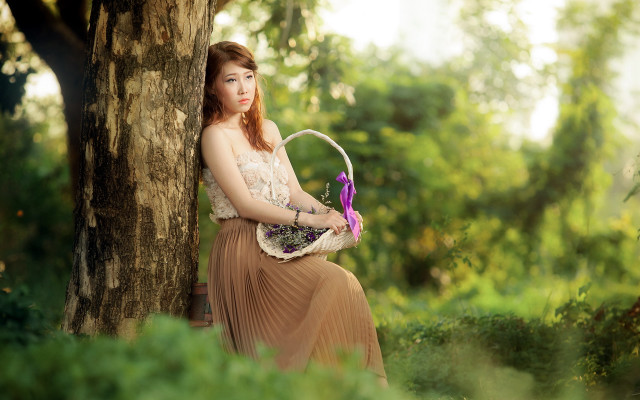 Woman dress basket forest portrait free wallpaper for desktop - medium preview image