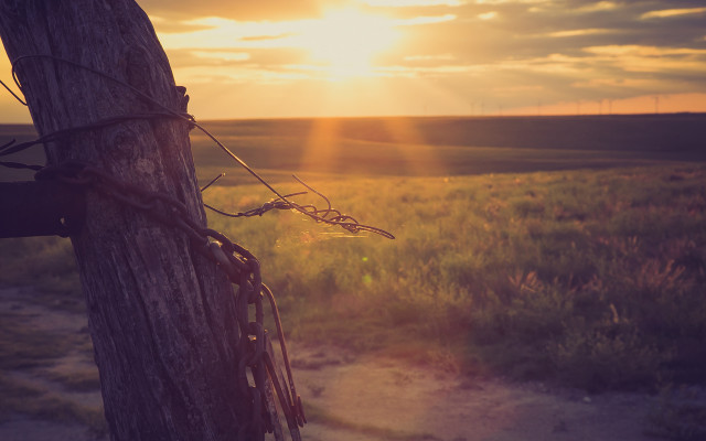 Tree trunk chain sunset clouds free wallpaper for desktop - medium preview image