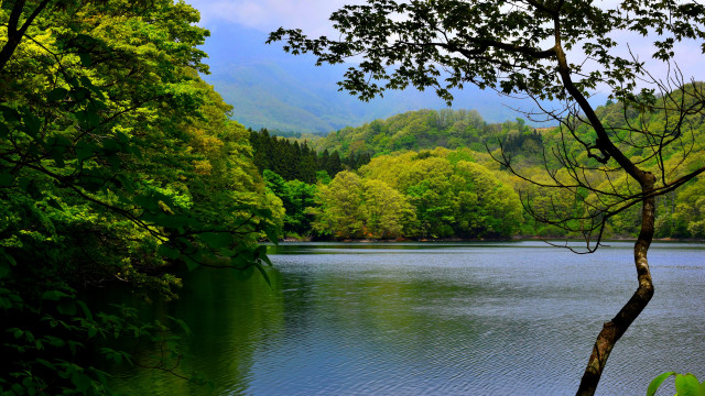 Lake bench trees mountains scenery free wallpaper for desktop - medium preview image