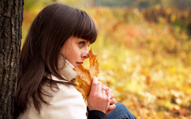 Woman sitting tree leaf autumn free wallpaper for desktop - medium preview image