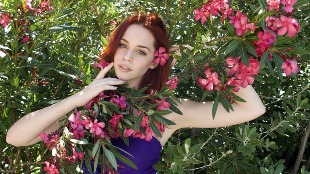 Purple dress woman bush pink free wallpaper for desktop - medium preview image