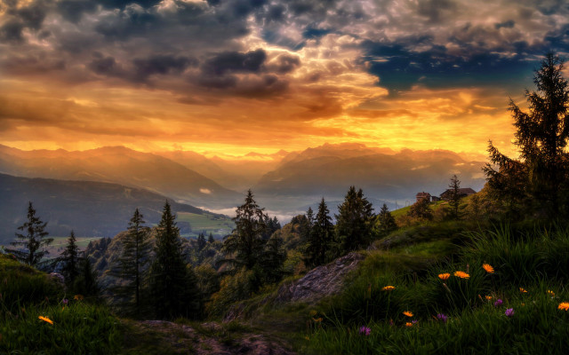 Sunset mountain range forest flowers free wallpaper for desktop - medium preview image