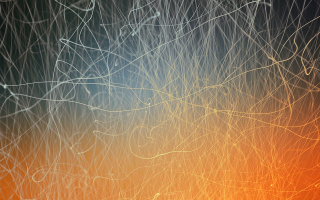 Blurry tree orange yellow leaves free wallpaper for desktop - medium preview image