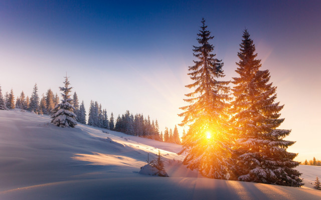Snowy mountain sunshine evergreens winter free wallpaper for desktop - medium preview image