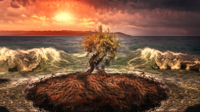 Tree rock ocean waves sunset free wallpaper for desktop - medium preview image