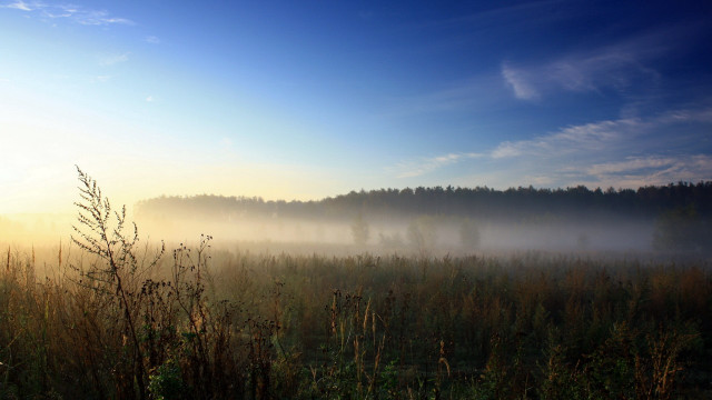 Foggy dawn forest lake mountains #2 free wallpaper for desktop - medium preview image