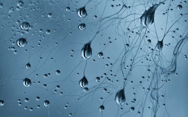 Water droplets window blue background free wallpaper for desktop - medium preview image
