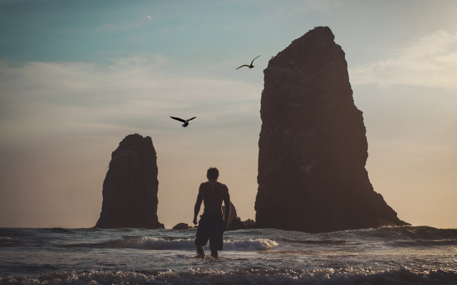 Man ocean rocks birds silhouette free wallpaper for desktop - medium preview image