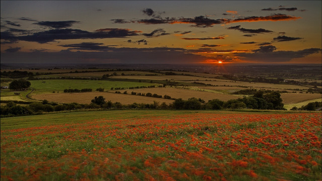 Flower field sunset clouds mountains #2 free wallpaper for desktop - medium preview image