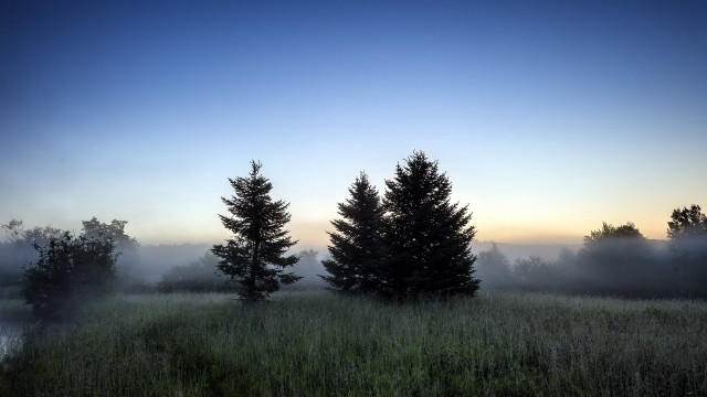Foggy dawn forest lake mountains free wallpaper for desktop - medium preview image