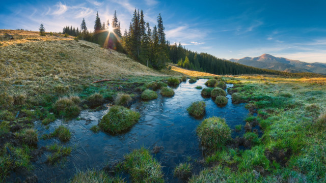 Lush green field forest hillside free wallpaper for desktop - medium preview image