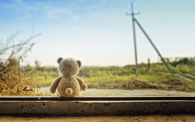 Teddy bear window sill field free wallpaper for desktop - medium preview image