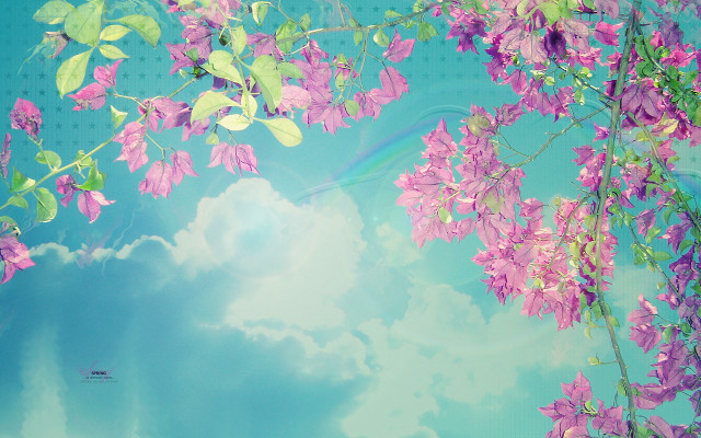 Purple flower tree rainbow blue free wallpaper for desktop - medium preview image