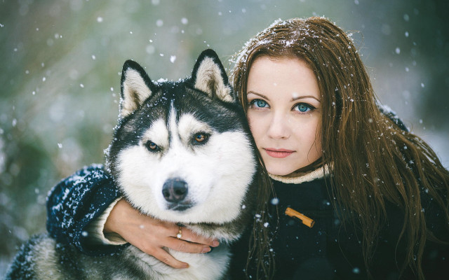 Woman husky snowfall aurora starry free wallpaper for desktop - medium preview image