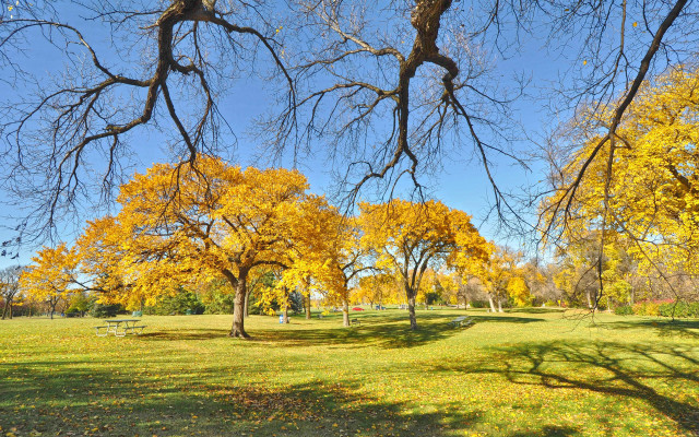 Autumn park bench yellow leaves free wallpaper for desktop - medium preview image