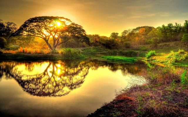 Sunset lake trees grassy horizon free wallpaper for desktop - medium preview image