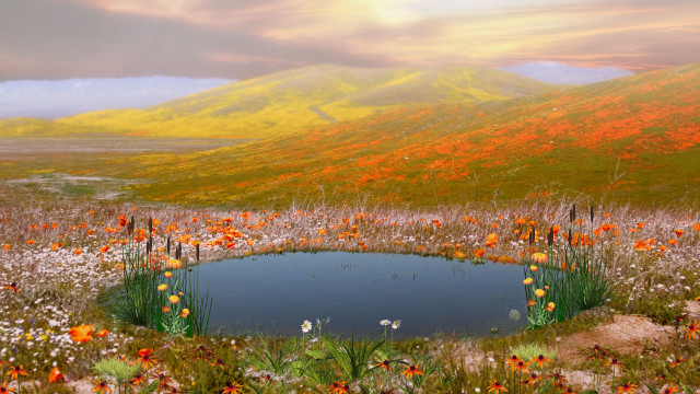 Field pond flowers mountain sunset free wallpaper for desktop - medium preview image