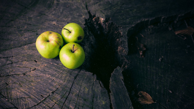 Three green apples tree stump free wallpaper for desktop - medium preview image
