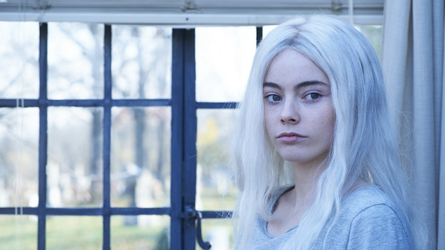 White hair blue shirt window free wallpaper for desktop - medium preview image