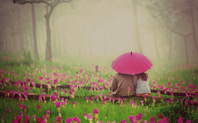 Couple umbrella flower rain romantic free wallpaper for desktop - medium preview image