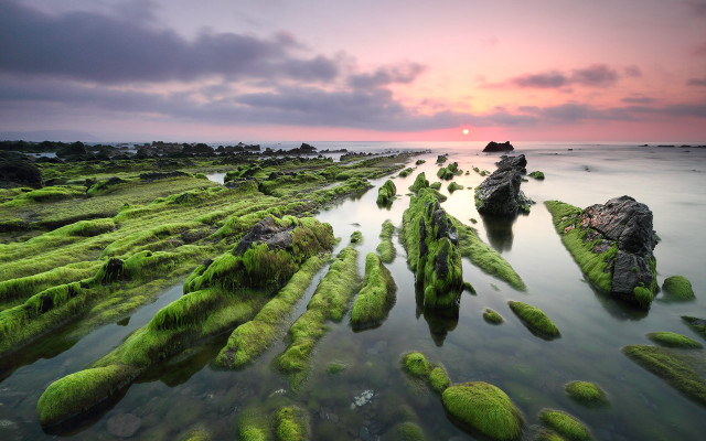 Sunset rocky beach moss water #6 free wallpaper for desktop - medium preview image