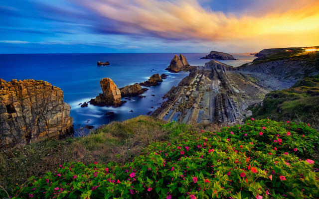 Sunset ocean rocky coastline flowers free wallpaper for desktop - medium preview image