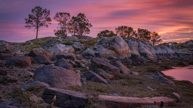 Rocky shore tree water sunset free wallpaper for desktop - medium preview image