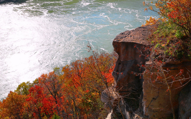 Hudson river autumn trees orange free wallpaper for desktop - medium preview image