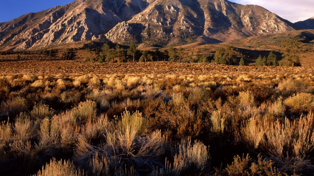 Mountain field grass clouds sunset free wallpaper for desktop - medium preview image