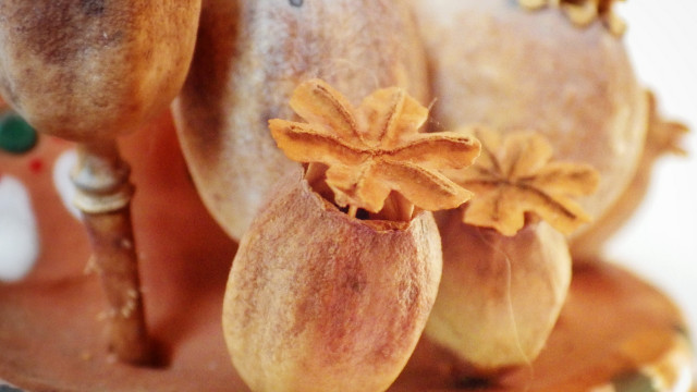 Horse flower leaf table photorealism free wallpaper for desktop - medium preview image