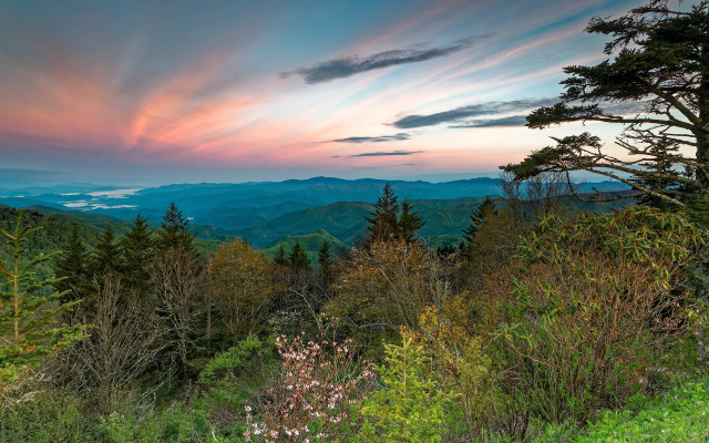 Sunset mountain range trees bushes #2 free wallpaper for desktop - medium preview image