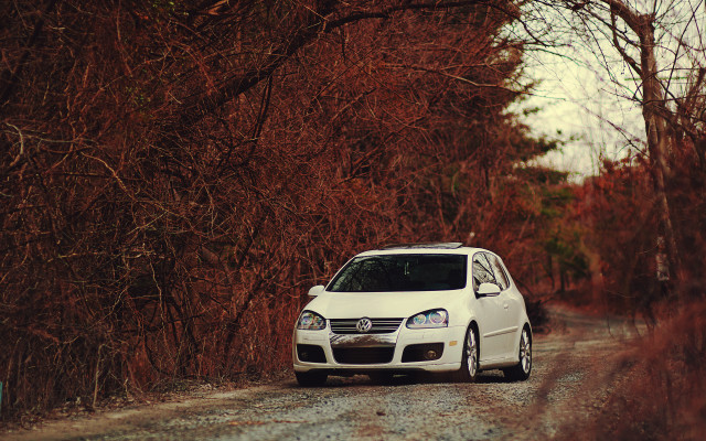 White car dirt road woods free wallpaper for desktop - medium preview image