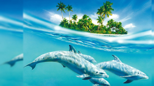 Dolphins swimming ocean island palm #2 free wallpaper for desktop - medium preview image