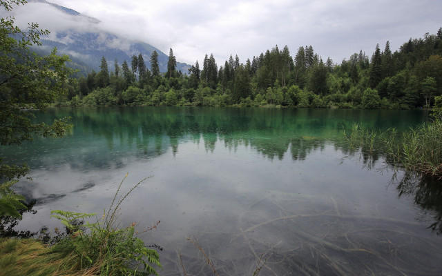 Lake forest mountain clouds foreground free wallpaper for desktop - medium preview image