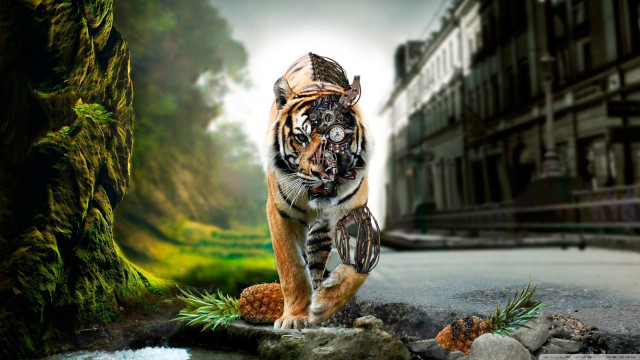 Tiger walking rock forest building free wallpaper for desktop - medium preview image