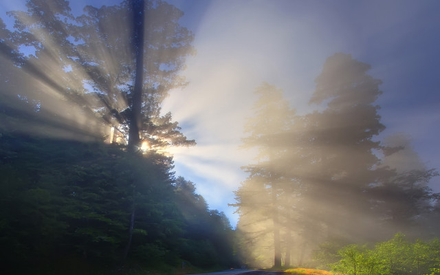 Foggy road matte painting crepuscular free wallpaper for desktop - medium preview image